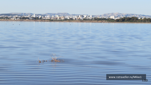 photo 1589409