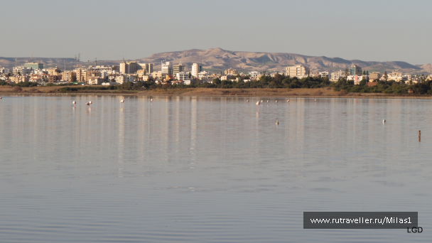 photo 1589416