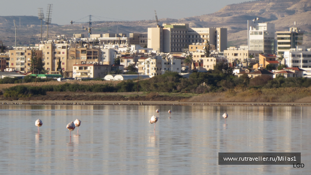 photo 1589417