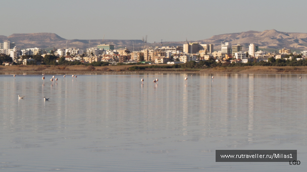 photo 1589418