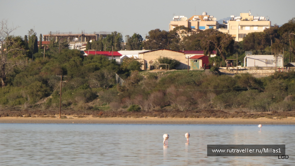 photo 1589420