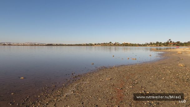 photo 1589421