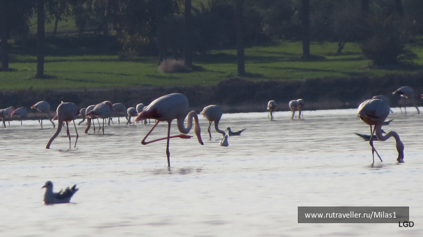 photo 1589433