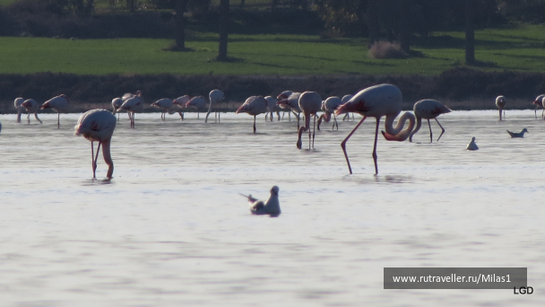 photo 1589434