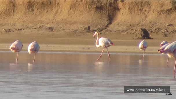 photo 1589438