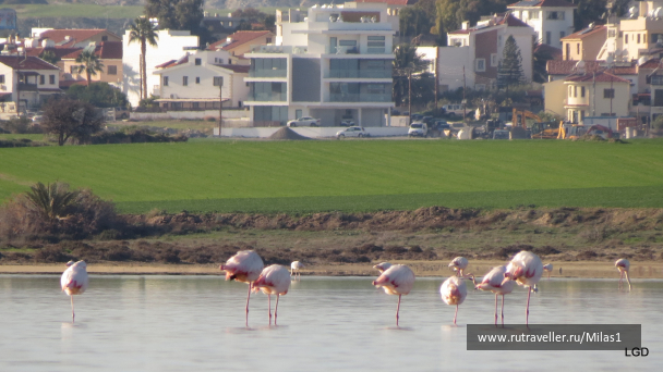 photo 1589440