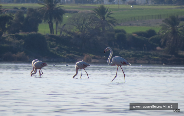photo 1589451