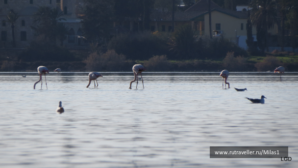 photo 1589453