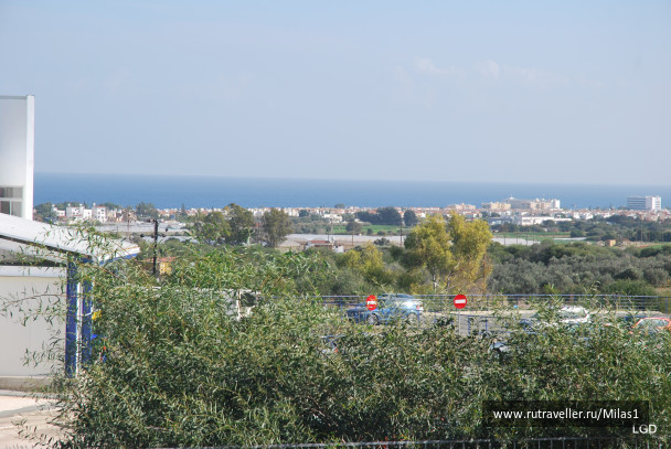 photo 1589484