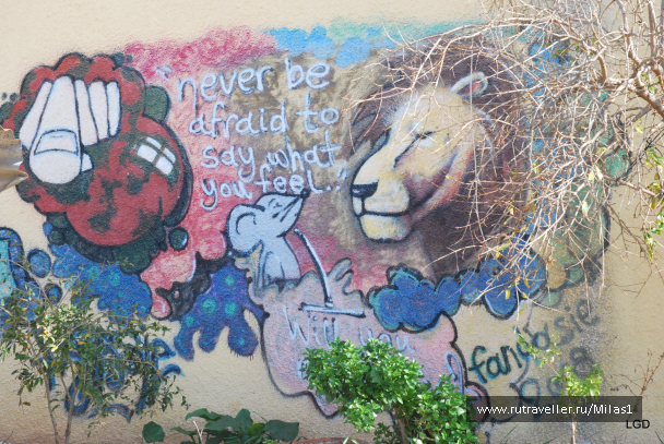 photo 1589496
