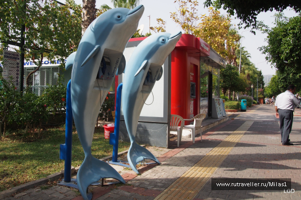 photo 1693789