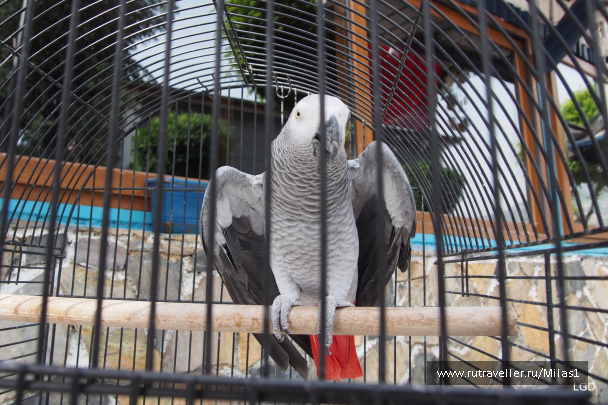photo 1693804