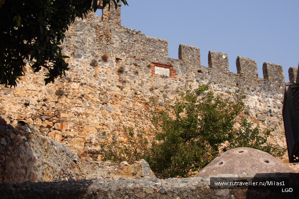 photo 1693816