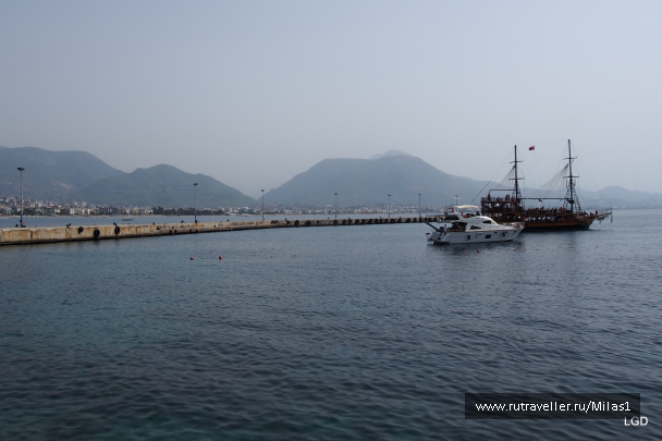 photo 1693823