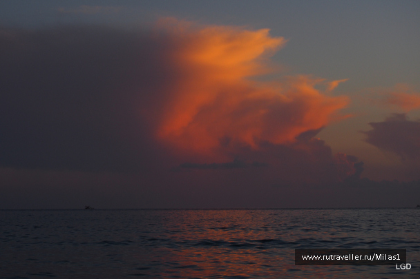 photo 1693835