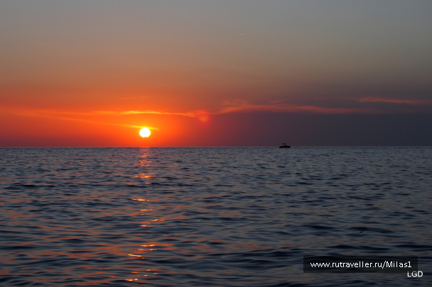 photo 1693842