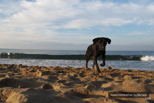 photo 1693878