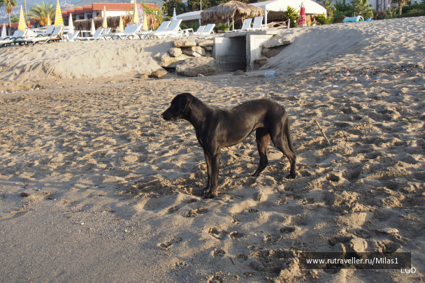 photo 1693888
