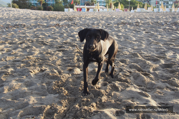 photo 1693889