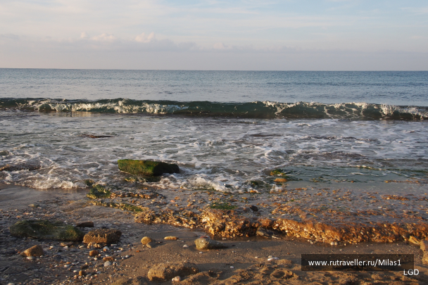 photo 1693891