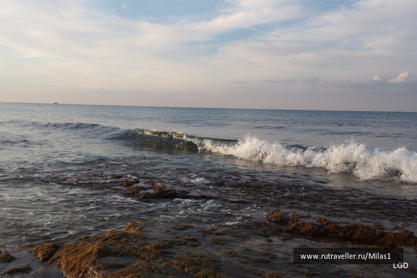 photo 1693894