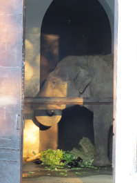photo 1793448