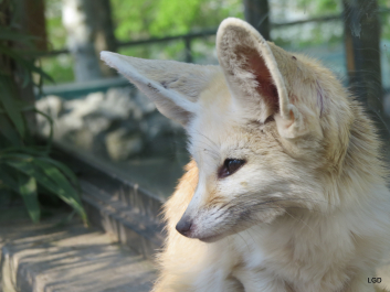 photo 1795153