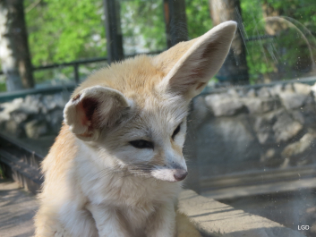 photo 1795154