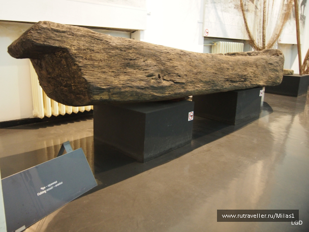 photo 1794616