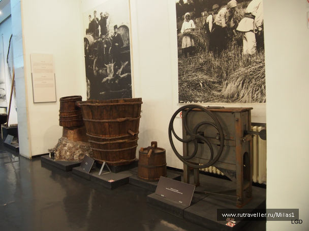 photo 1794619