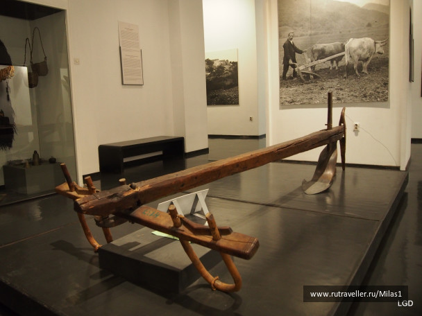 photo 1794627