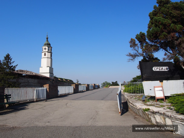 photo 1794661