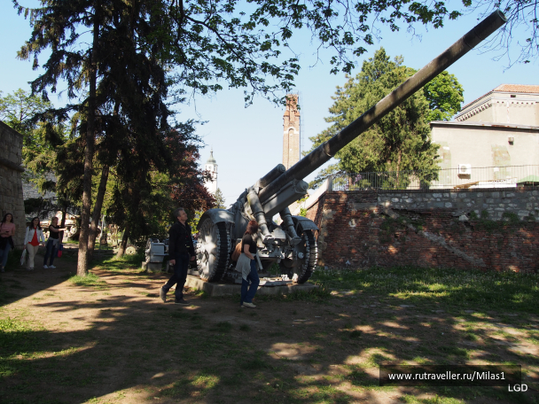 photo 1794679