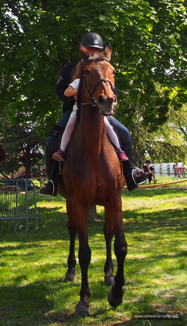 photo 1794714