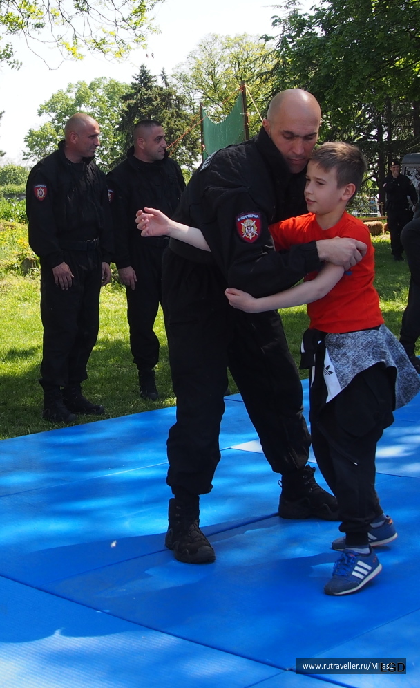 photo 1794716