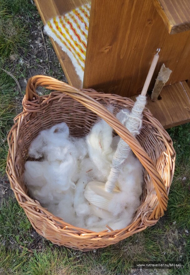 photo 1794752
