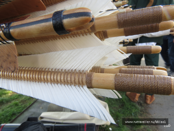 photo 1794757