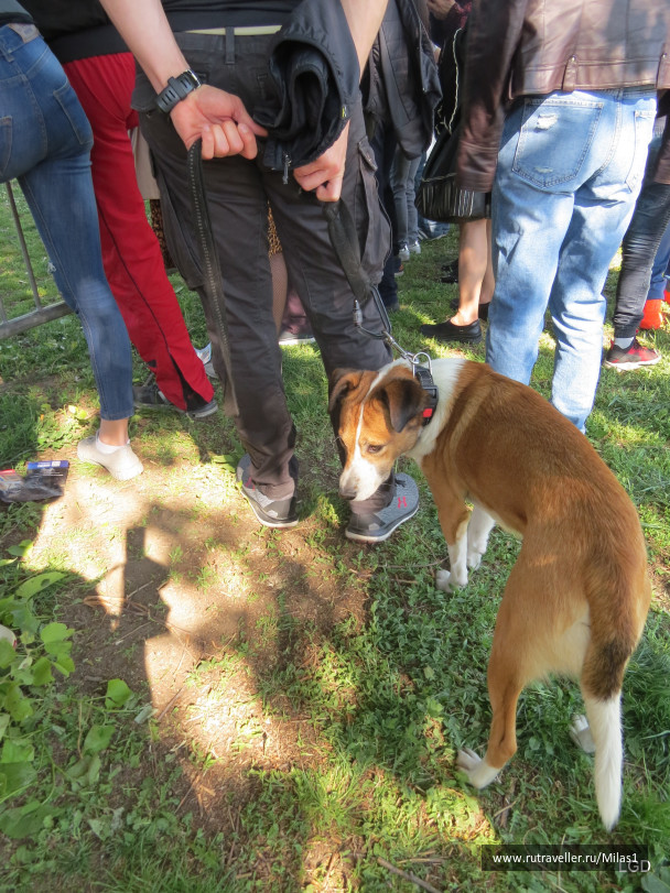 photo 1794776