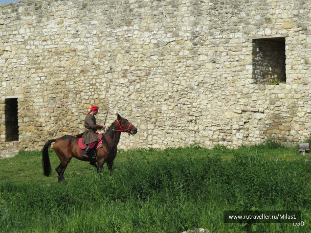photo 1794783