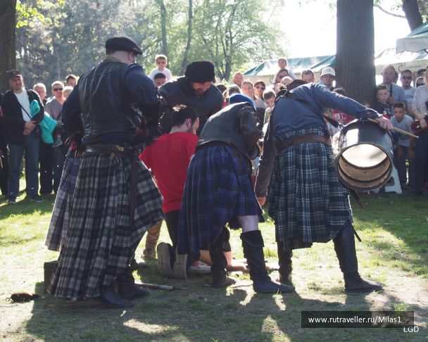 photo 1795023