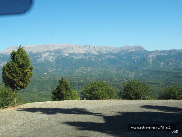 photo 1819124