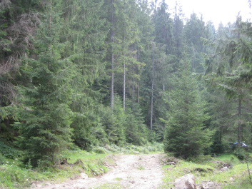 photo 340370