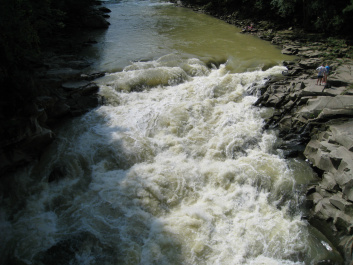 photo 340372
