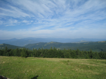 photo 340378