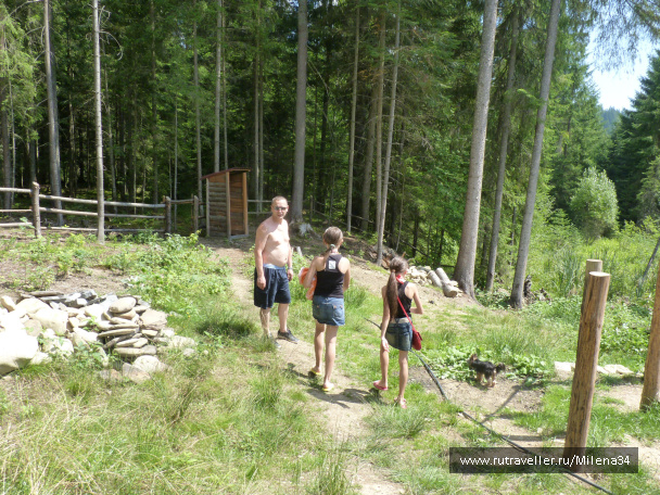 photo 340635
