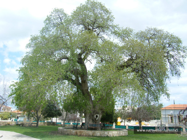 photo 498078