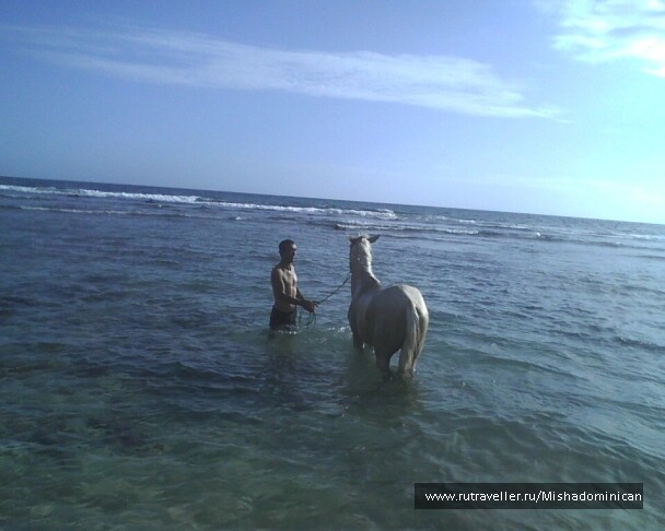 photo 1455090
