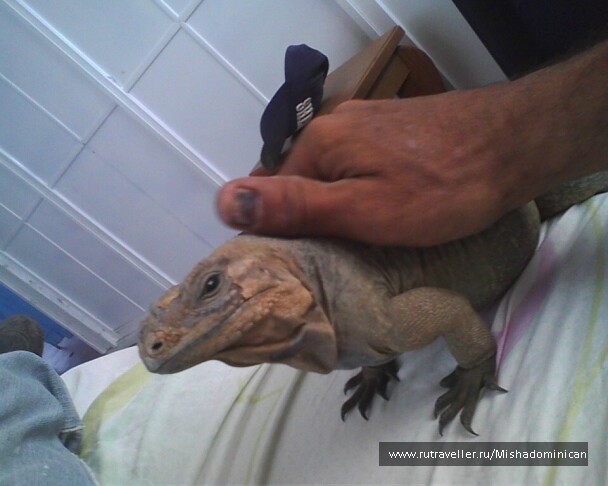 photo 1455092