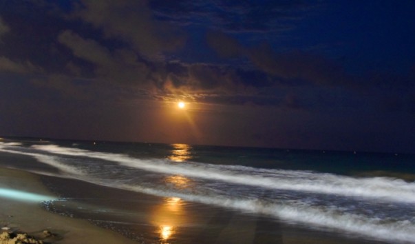 Calaftll_sea_moon