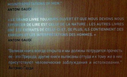 photo 876303